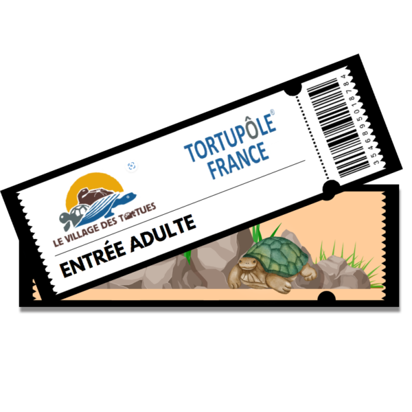 Billet journée - Adulte