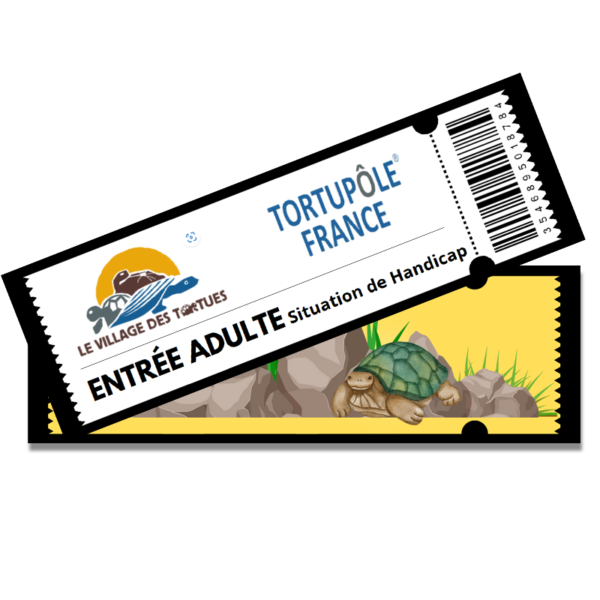 Billet journée adulte en situation de handicap
