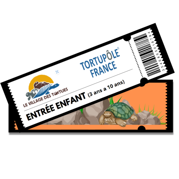 Billet journée enfant (de 3 à 10 ans)